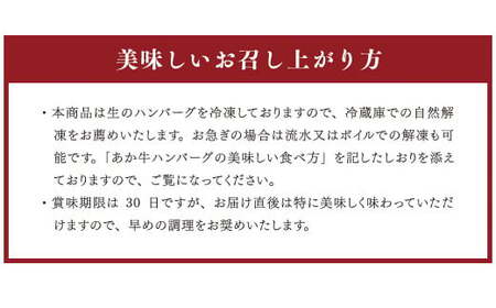 あか牛100%ハンバーグセット 120g×6個 あか牛のたれ200ml付き