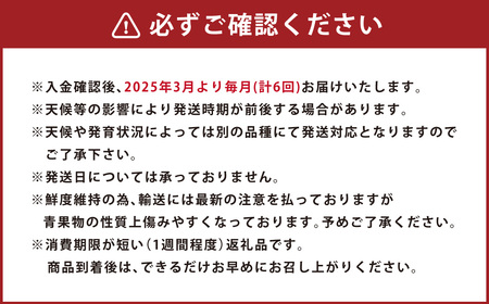 プロが選ぶ！旬の果物 6ヶ月定期便 フルーツ いちご 柑橘 メロン スイカ シャインマスカット 梨