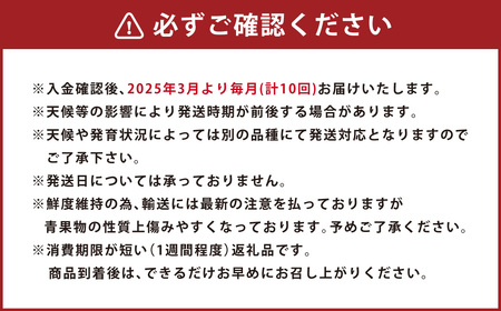 プロが選ぶ！旬の果物 10ヶ月定期便 フルーツ いちご 柑橘 メロン スイカ シャインマスカット 梨