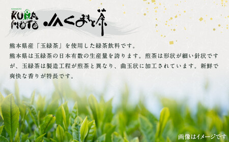 森のくまさん 緑茶飲料 500ml×24本入 ペットボトル 熊本県産 玉緑茶 使用 お茶