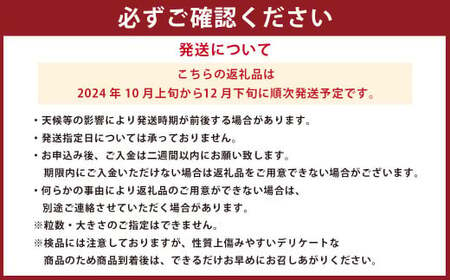 【訳アリ】河内ブランドみかん 5kg (家庭用) 【2024年10月上旬から2024年12月下旬発送予定】