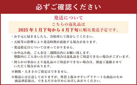 訳あり 不知火 計7kg 【2025年1月下旬から2025年4月下旬発送予定】