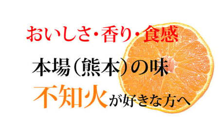 訳あり 不知火 計7kg 【2025年1月下旬から2025年4月下旬発送予定】