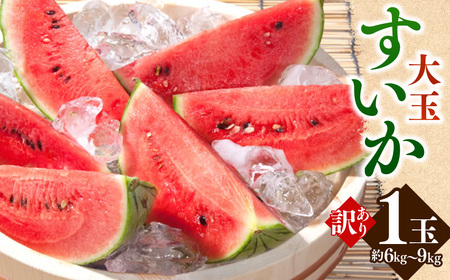 訳あり 大玉すいか 1玉 約6kg〜9kg 送料無料 スイカ すいか 益城町産 お取り寄せ お取り寄せグルメ 西瓜 フルーツ 【2026年5月下旬～7月下旬迄順次発送予定】