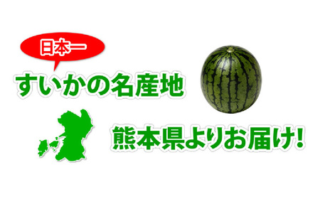 訳あり 大玉すいか 1玉 約6kg〜9kg 送料無料 スイカ すいか 益城町産 お取り寄せ お取り寄せグルメ 西瓜 フルーツ 【2026年5月下旬～7月下旬迄順次発送予定】
