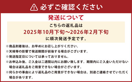 みかん 5kg サイズ2L～2S 蜜柑 ミカン フルーツ 果物 くだもの 柑橘 熊本産 九州産 【2025年10月下旬～2026年2月下旬発送予定】