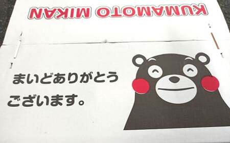 みかん 10kg サイズ2L～2S 蜜柑 ミカン フルーツ 果物 くだもの 柑橘 熊本産 九州産 【2025年10月下旬～2026年2月下旬迄発送予定】