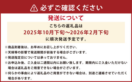 みかん 10kg サイズ2L～2S 蜜柑 ミカン フルーツ 果物 くだもの 柑橘 熊本産 九州産 【2025年10月下旬～2026年2月下旬迄発送予定】
