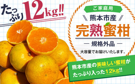 【規格外品】熊本市産 完熟 蜜柑 ご家庭用 12kg【2024年9月上旬～2025年1月下旬発送予定】 みかん ミカン