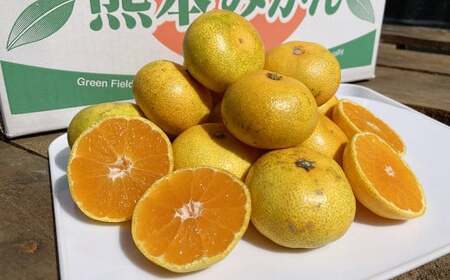 【規格外品】熊本市産 完熟 蜜柑 ご家庭用 12kg【2024年9月上旬～2025年1月下旬発送予定】 みかん ミカン