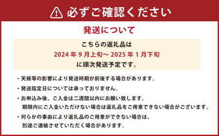 【規格外品】熊本市産 完熟 蜜柑 ご家庭用 12kg【2024年9月上旬～2025年1月下旬発送予定】 みかん ミカン