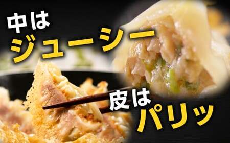 餃子の王国 人気の生餃子 2種 126個 黒豚 生餃子 餃子 ぎょうざ 豚肉 冷凍 国産 熊本 セット