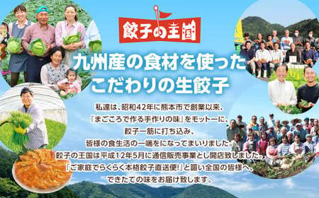 餃子の王国 生小籠包 48個 小籠包 ショウロンポウ 中華 国産 熊本 冷凍