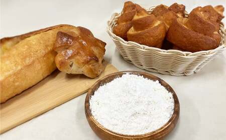 熊本製粉 しろくま中力小麦粉 1kg×10袋 計10kg 小麦粉 中力小麦粉 国産 国産小麦 小麦 料理 家庭用