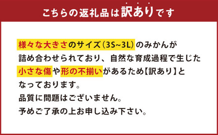 【訳あり】温州みかん 約3kg 【2024年11月上旬-2025年3月上旬発送予定】柑橘 みかん ミカン フルーツ 果物 くだもの 熊本県 熊本市