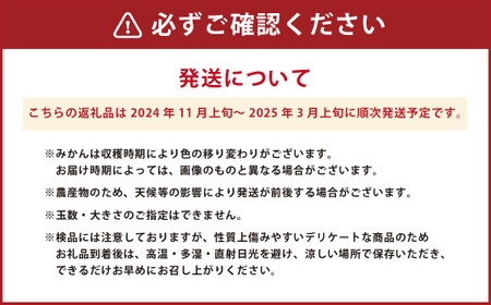 【訳あり】温州みかん 約3kg 【2024年11月上旬-2025年3月上旬発送予定】柑橘 みかん ミカン フルーツ 果物 くだもの 熊本県 熊本市