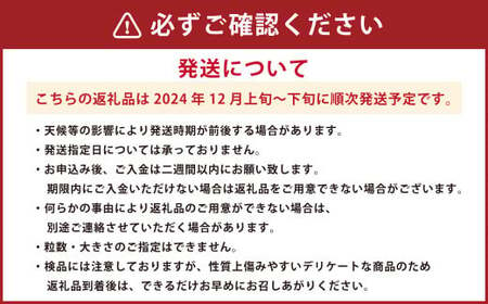 サイズはおまかせ！ みかん 約 5kg 果物 くだもの フルーツ ミカン 蜜柑 柑橘 【2024年12月上旬～12月下旬発送予定】