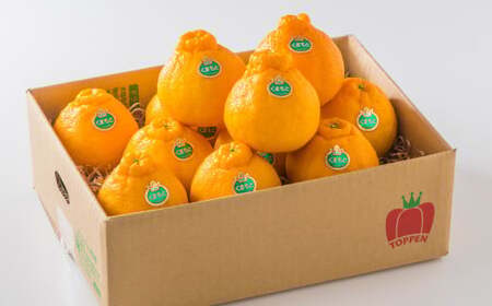 熊本県産 完熟 デコポン 計2.5kg（10～12玉） 果物 くだもの フルーツ 蜜柑 ミカン 柑橘 【2026年3月上旬～3月下旬発送予定】