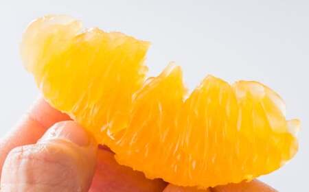 熊本県産 完熟 デコポン 計2.5kg（10～12玉） 果物 くだもの フルーツ 蜜柑 ミカン 柑橘 【2026年3月上旬～3月下旬発送予定】