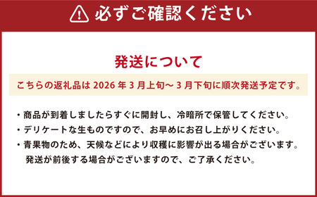 熊本県産 完熟 デコポン 計2.5kg（10～12玉） 果物 くだもの フルーツ 蜜柑 ミカン 柑橘 【2026年3月上旬～3月下旬発送予定】