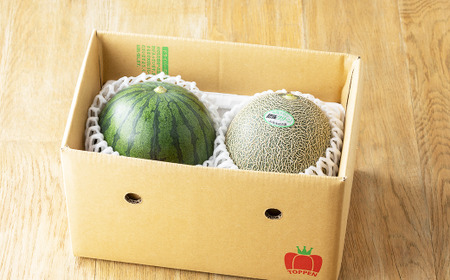 熊本県産 小玉すいか ＆ 肥後グリーンメロン 各1玉 果物 フルーツ セット ギフト 贈答品 贈り物 【2026年6月上旬～6月下旬迄順次発送予定】