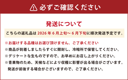 熊本県産 小玉すいか ＆ 肥後グリーンメロン 各1玉 果物 フルーツ セット ギフト 贈答品 贈り物 【2026年6月上旬～6月下旬迄順次発送予定】