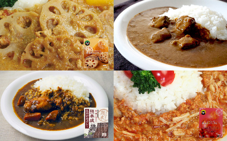 熊本グルメ！美味しいお肉の6回定期便 馬肉 ローストビーフ カレー 4種 牛タン 豚肉 餃子 馬刺し 定期便