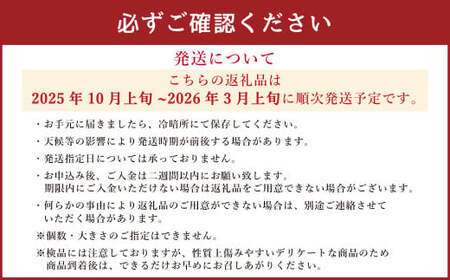 訳あり みかん 計10kg ミカン 蜜柑 果物 くだもの フルーツ 柑橘 【2025年10月上旬から2026年3月上旬迄発送予定】