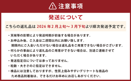 河内晩柑【手選別まごころ選果】約10kg サイズ不選別 晩柑 ばんかん 柑橘 くだもの 果物 フルーツ 【2026年2月上旬～3月下旬発送予定】