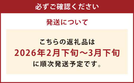 デコポン 約3kg （15～24玉） 果物 くだもの フルーツ 柑橘 【2026年2月下旬～3月下旬迄順次発送予定】