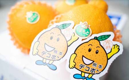 デコポン 約3kg （15～24玉） 果物 くだもの フルーツ 柑橘 【2026年2月下旬～3月下旬迄順次発送予定】