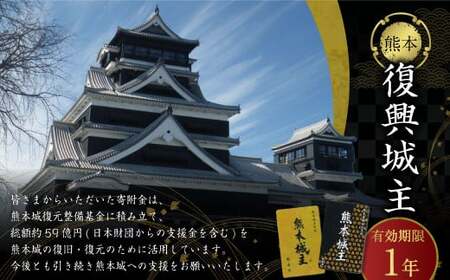 復興城主 有効期限1年 熊本城 城主の証 城主手形 デジタル芳名板(希望者のみ)