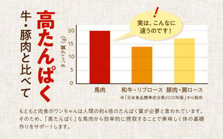 馬肉ヘルシージャーキー 3袋 40g×3袋 120g ペット用 ジャーキー 馬肉 おやつ ヘルシー 無添加 保存料等不使用 ペット 愛犬 犬用