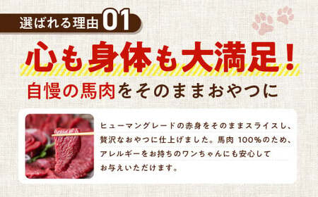 馬肉ヘルシージャーキー 8袋 40g×8袋 320g ペット用 ジャーキー 馬肉 おやつ ヘルシー 無添加 保存料等不使用 ペット 愛犬 犬用