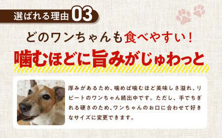 馬肉ヘルシージャーキー 8袋 40g×8袋 320g ペット用 ジャーキー 馬肉 おやつ ヘルシー 無添加 保存料等不使用 ペット 愛犬 犬用