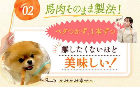 馬肉アキレスジャーキー 3袋 35g×3袋 105g ペット用 ジャーキー 馬肉 おやつ ヘルシー 無添加 手作り製法 ペット 愛犬 犬用