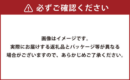 茂出木浩司シェフ監修オムライス 200g×24袋 オムライス 冷凍食品 電子レンジ調理 簡単調理 時短
