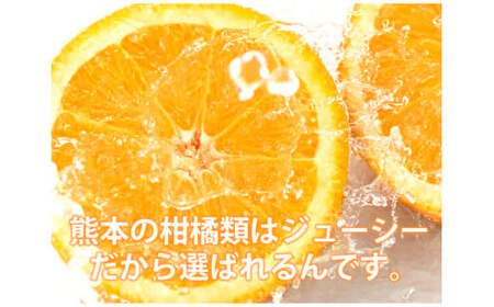 訳ありみかん 約5kg みかん 蜜柑 果物 くだもの フルーツ 【2025年10月下旬~2026年2月下旬発送予定】