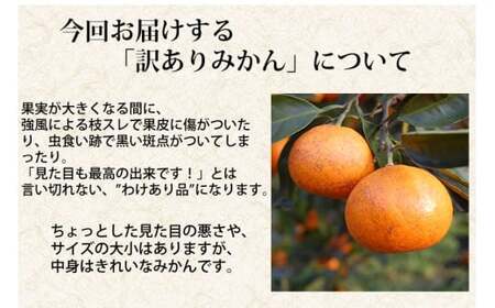 訳ありみかん 約5kg みかん 蜜柑 果物 くだもの フルーツ 【2025年10月下旬~2026年2月下旬発送予定】