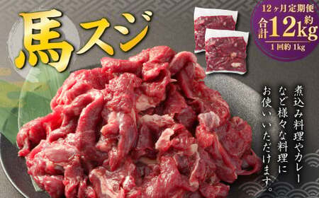 【12ヶ月定期便】 馬スジ 1kg （500g×2パック） 計12kg 馬肉 馬 お肉 肉 おかず 冷凍