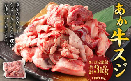 【3ヶ月定期便】 あか牛スジ 1kg （500g×2パック） 計3kg あか牛 牛肉 牛 お肉 肉 おかず 冷凍