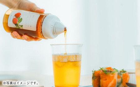 熊本 杉養蜂園 【ゆず蜜】果汁入り はちみつ 1,000g 蜂蜜