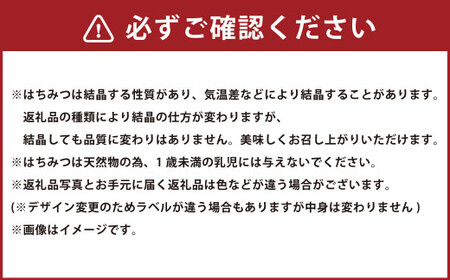 熊本 杉養蜂園 【メープルハニー】果汁入り はちみつ 1,000g 蜂蜜