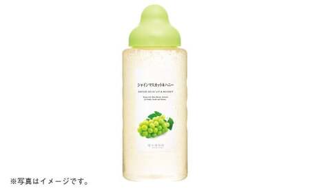 熊本 杉養蜂園 【ゆず蜜×シャインマスカット】果汁入り はちみつ 500g 2種 計1kg 食べ比べ 蜂蜜