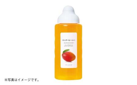 熊本 杉養蜂園 【ゆず蜜×マンゴー】果汁入り はちみつ 500g 2種 計1kg 食べ比べ 蜂蜜