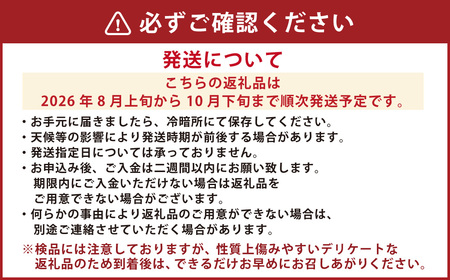 訳あり 梨 3kg なし ナシ くだもの 果物 フルーツ 国産 九州 熊本県 熊本市 冷蔵 【2026年8月上旬～10月下旬迄発送予定】
