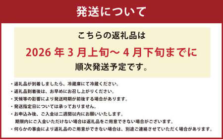 【絢】 いちご 約1kg （約250g×4） 恋みのり 苺 【絢音ベリー農園】 厳選 希少 【2026年3月上旬～4月下旬迄発送予定】 イチゴ 果物 果実 フルーツ 熊本県産 国産 九州 熊本県 熊本市 冷蔵