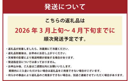 【絢】 いちご 約1kg （約250g×4） 紅ほっぺ 苺 【絢音ベリー農園】 厳選 希少 【2026年3月上旬～4月下旬迄発送予定】 イチゴ 果物 果実 フルーツ 熊本県産 国産 九州 熊本県 熊本市 冷蔵