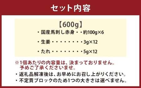 【フジチク】 国産馬刺し赤身 計600g(約100g×6個) 馬肉 お肉 生姜・たれ付き