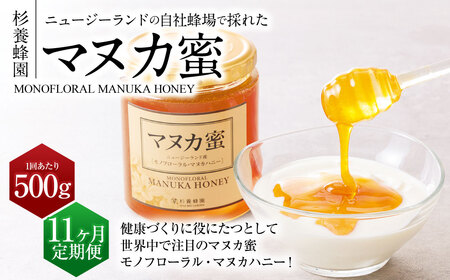 【11ヶ月定期便】ニュージーランド産 マヌカ蜜 約500g×11ヶ月 ／ 計約5.5kg マヌカハニー マヌカ モノフローラル・マヌカハニー 蜂蜜 はちみつ ハチミツ 健康食品 定期便 杉養蜂園